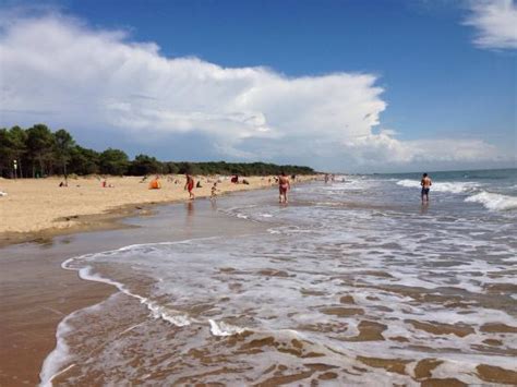 plage naturiste de la lède|Plage Naturiste de la Lède, France .